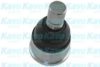 MAZDA BP4K34350EBJ Ball Joint